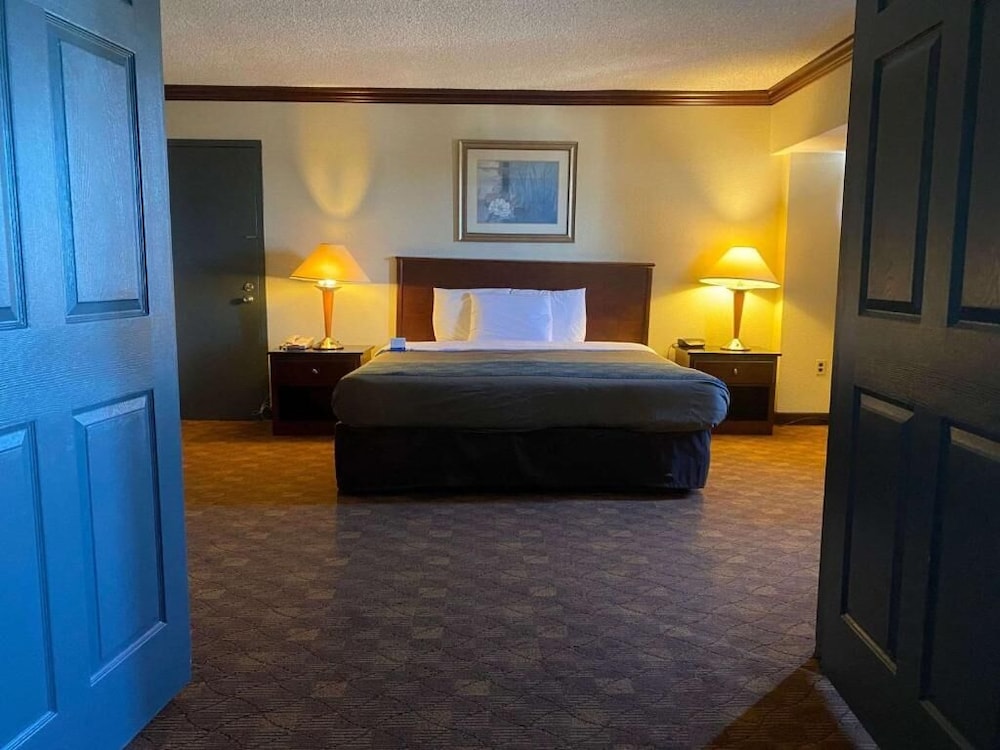 Deluxe Single Room photo 2