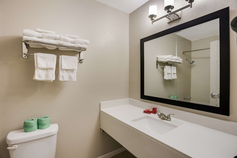 Standard Room, 1 Queen Bed, Non Smoking, Refrigerator & Microwave - Photo 4
