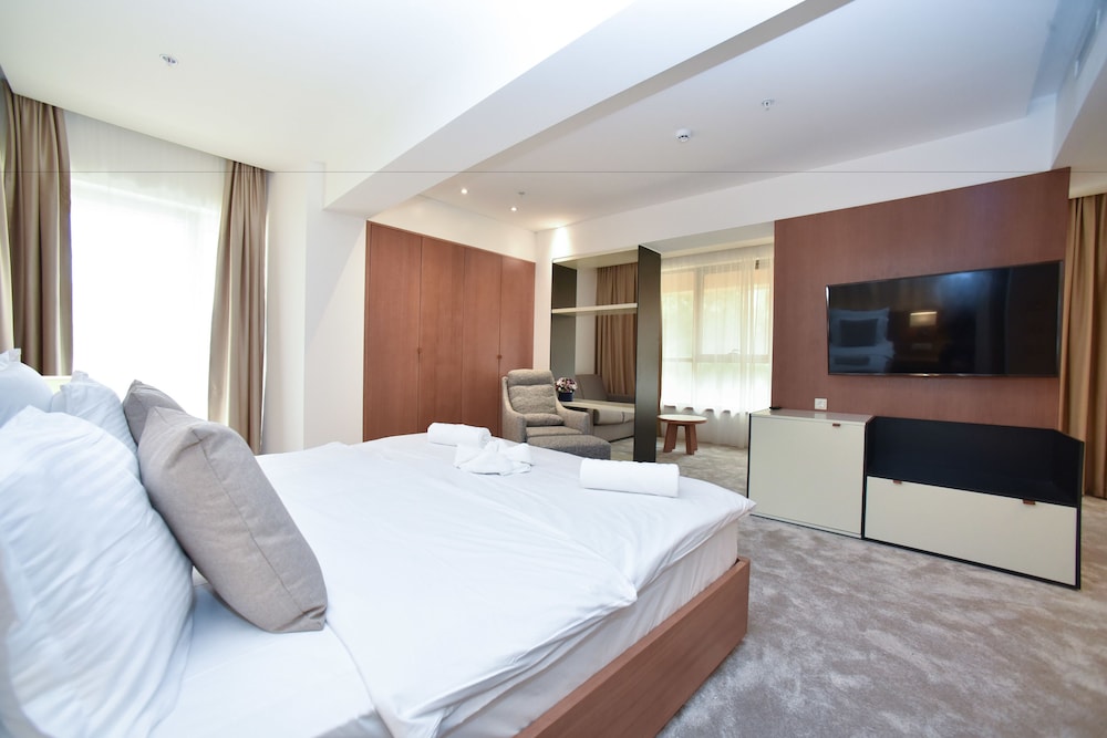 Superior Suite, 1 Queen Bed with Sofa bed, Accessible photo 2