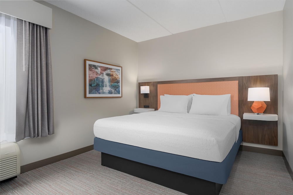 Basic Studio Suite, 1 King Bed, Non Smoking - Photo 1