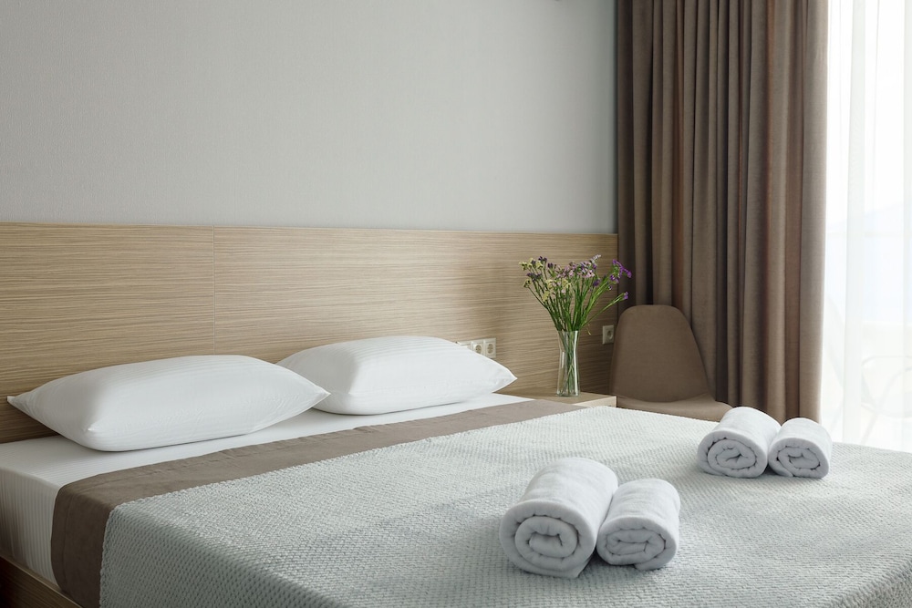 Standard Double or Twin Room photo 2