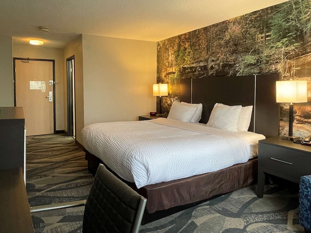 Room, 1 Queen Bed, Accessible, Non Smoking (Efficiency) - Photo 1