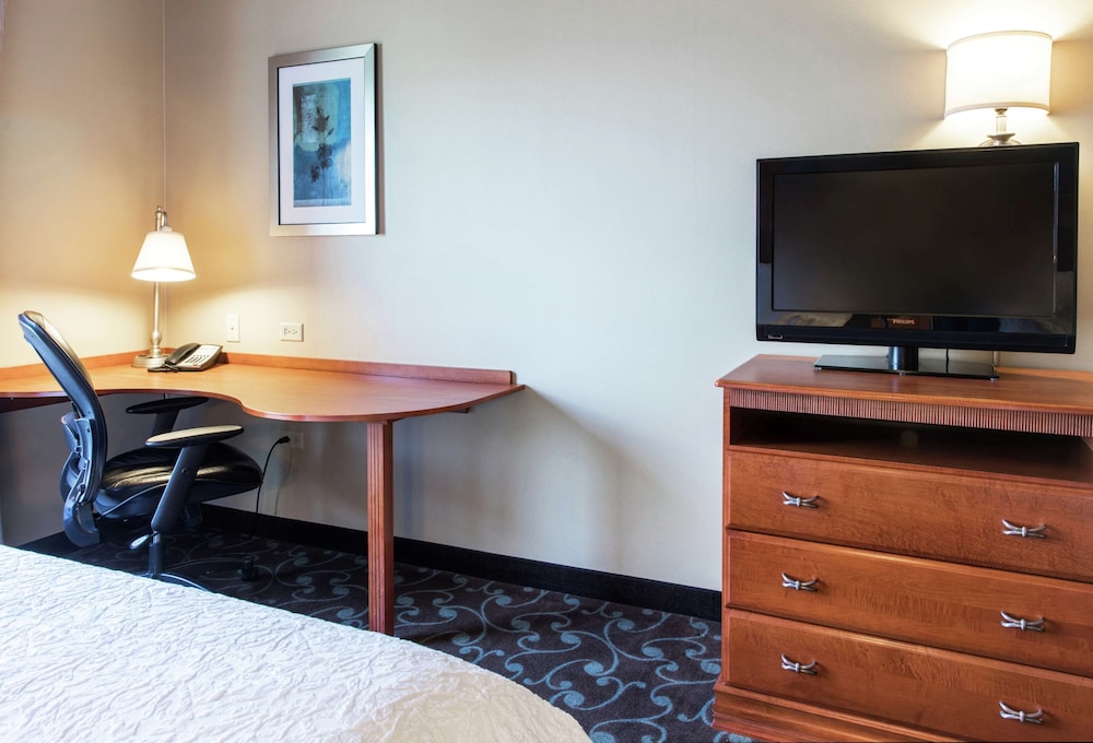 Studio, 1 King Bed, Accessible, Non Smoking (Hearing) - Photo 3