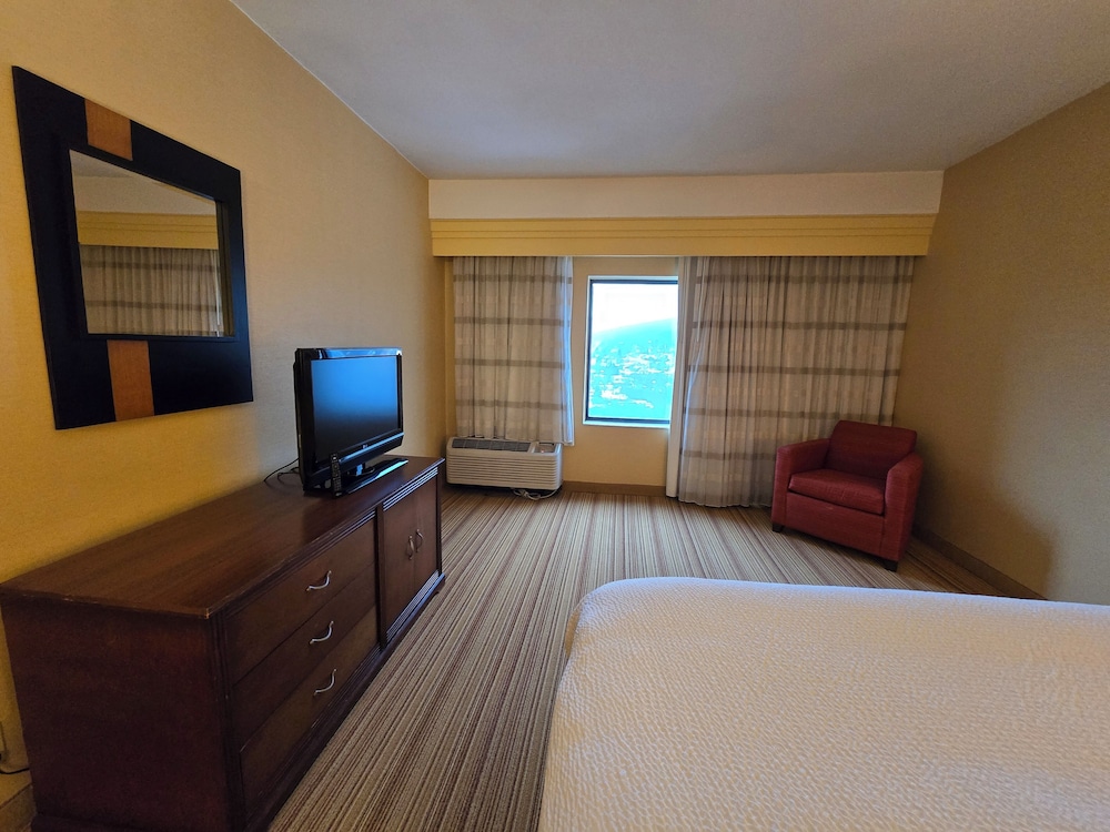 Suite, 1 King Bed, Accessible, Non Smoking - Photo 2