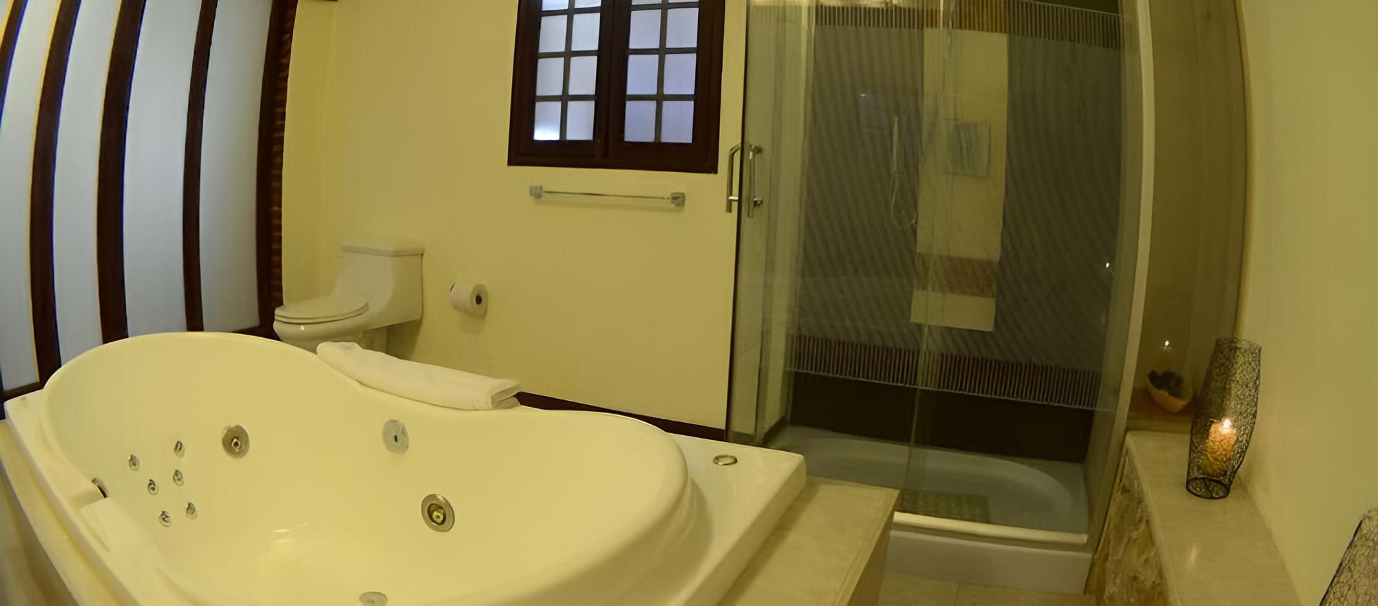 Deluxe Suite, 1 King Bed photo 2