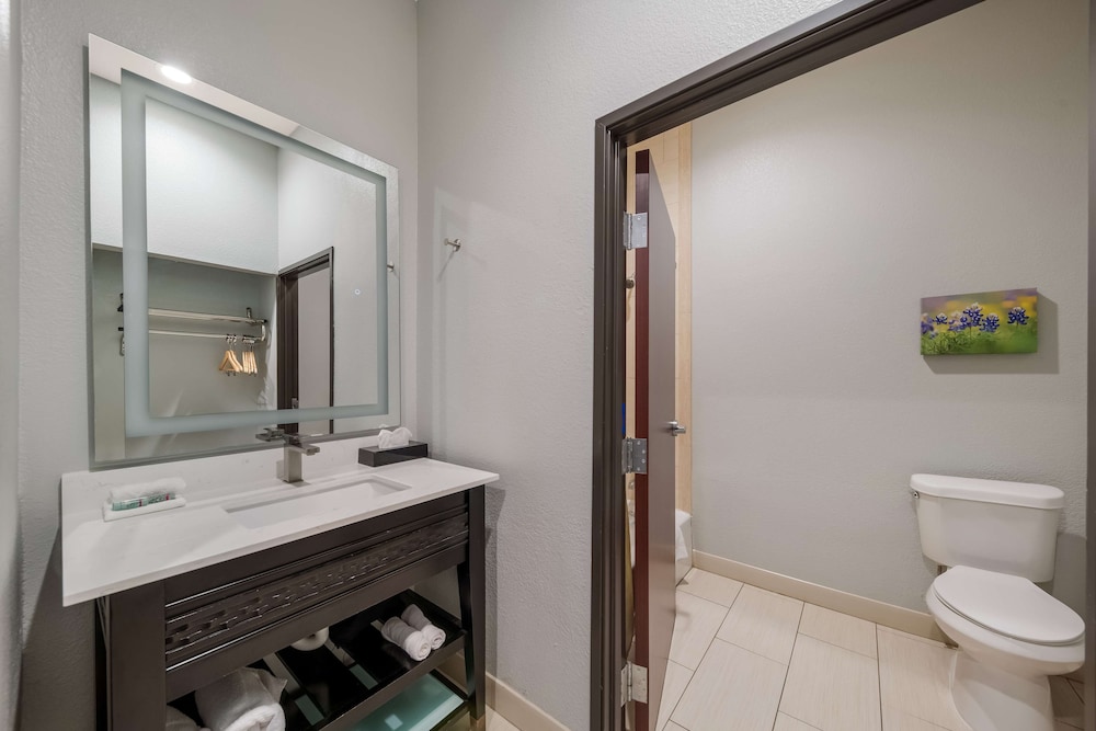 Suite, 1 King Bed, Non Smoking, Refrigerator & Microwave (with Single Sofabed)