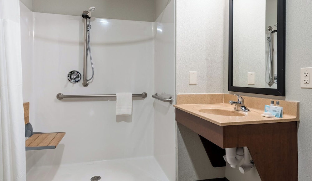 Room, 1 Queen Bed (Roll In Shower)