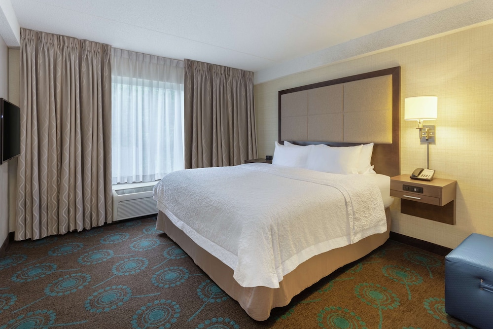 Suite, 1 King Bed, Non Smoking photo 1