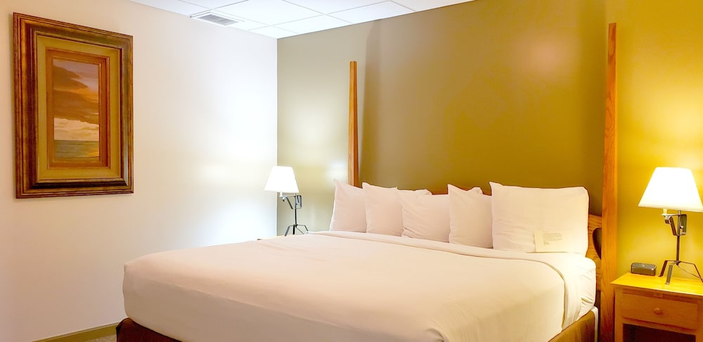 Deluxe Room, 1 King Bed, Non Smoking, Jetted Tub photo 3