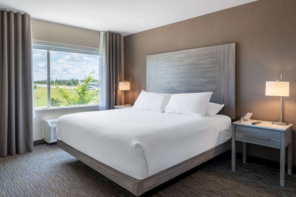 Suite, 1 King Bed with Sofa bed, Non Smoking (Not Pet-Friendly)