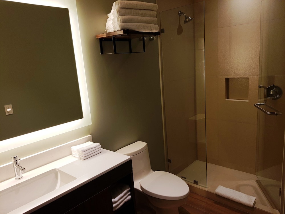Suite, 1 Bedroom, Kitchen