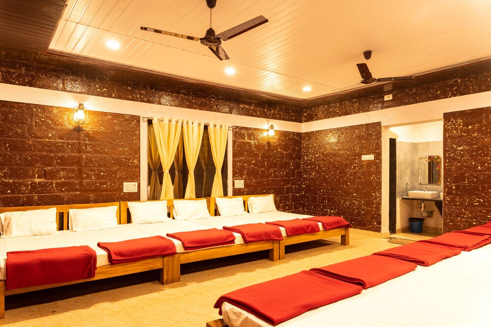 Deluxe Shared Dormitory photo 1