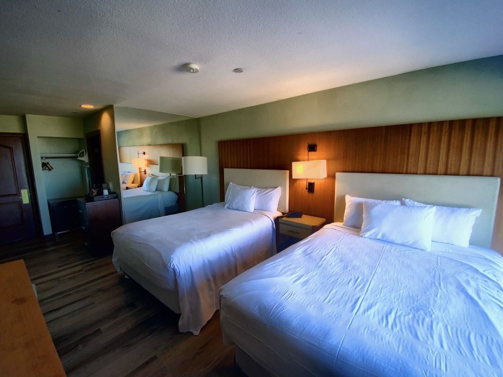 Standard Room, 2 Queen Beds - Photo 1