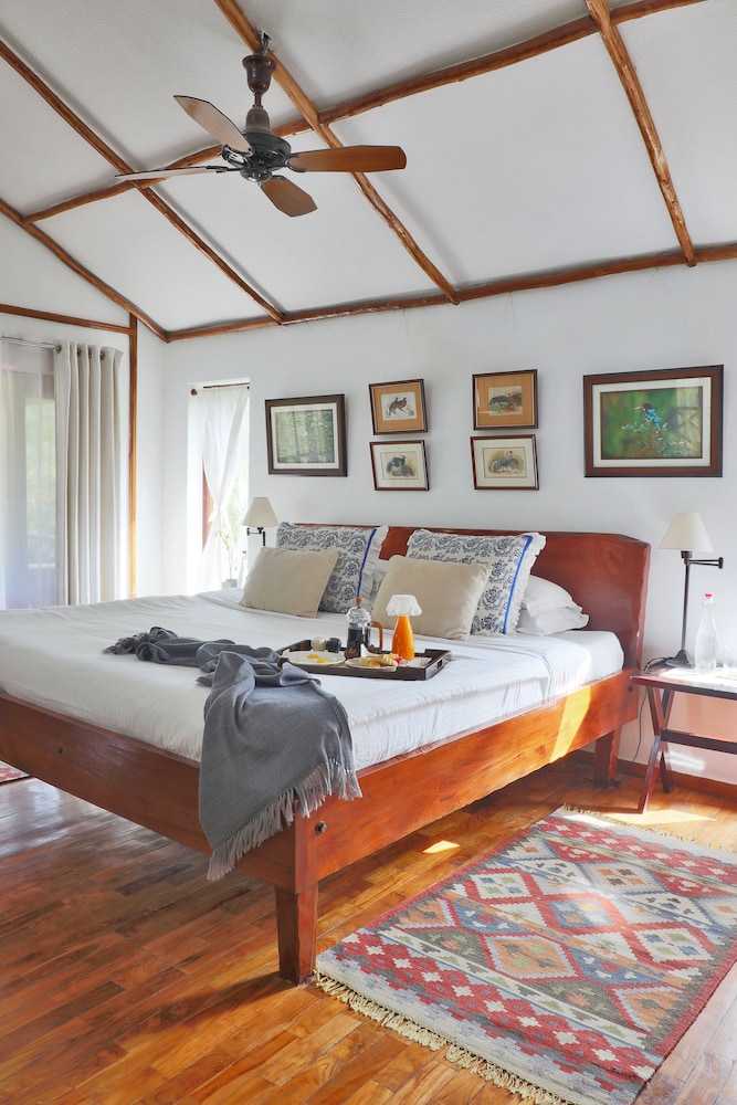 Jungle Lodge photo 1