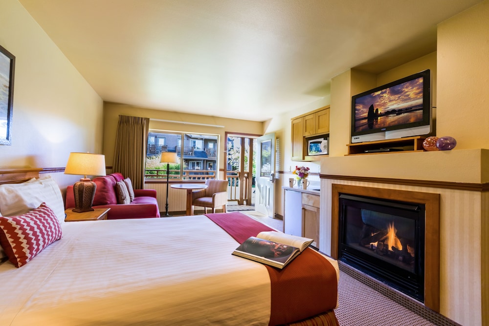 Classic Studio, 1 Queen Bed with Sofa bed, Accessible (1st Floor, Pet Friendly with fee) photo 3