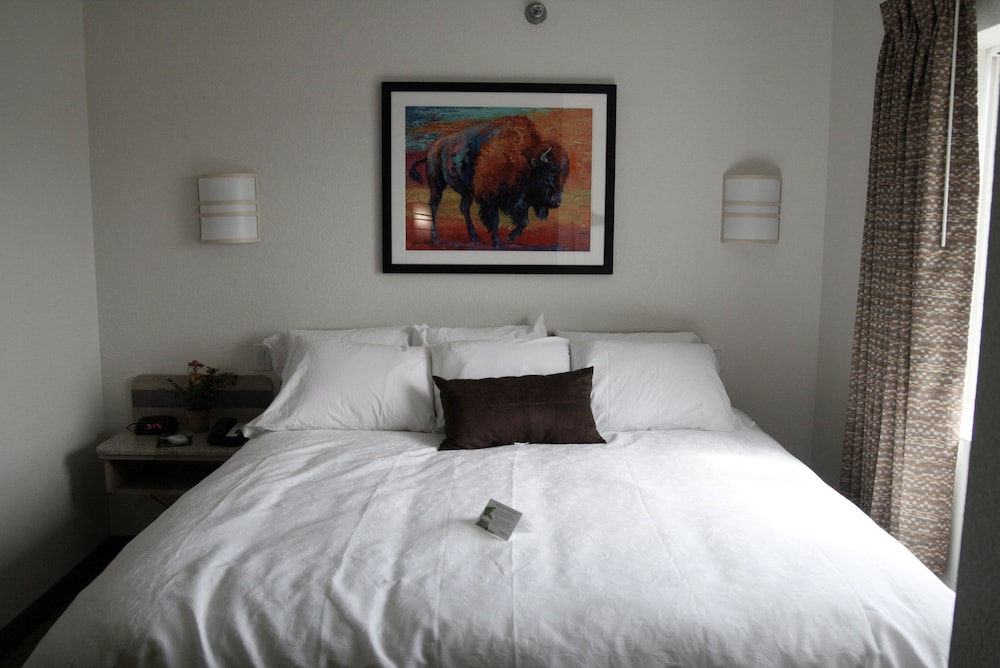 Standard Double Room photo 2