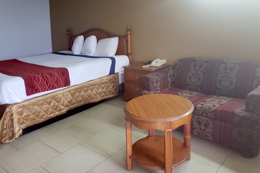 Room, 1 King Bed photo 3