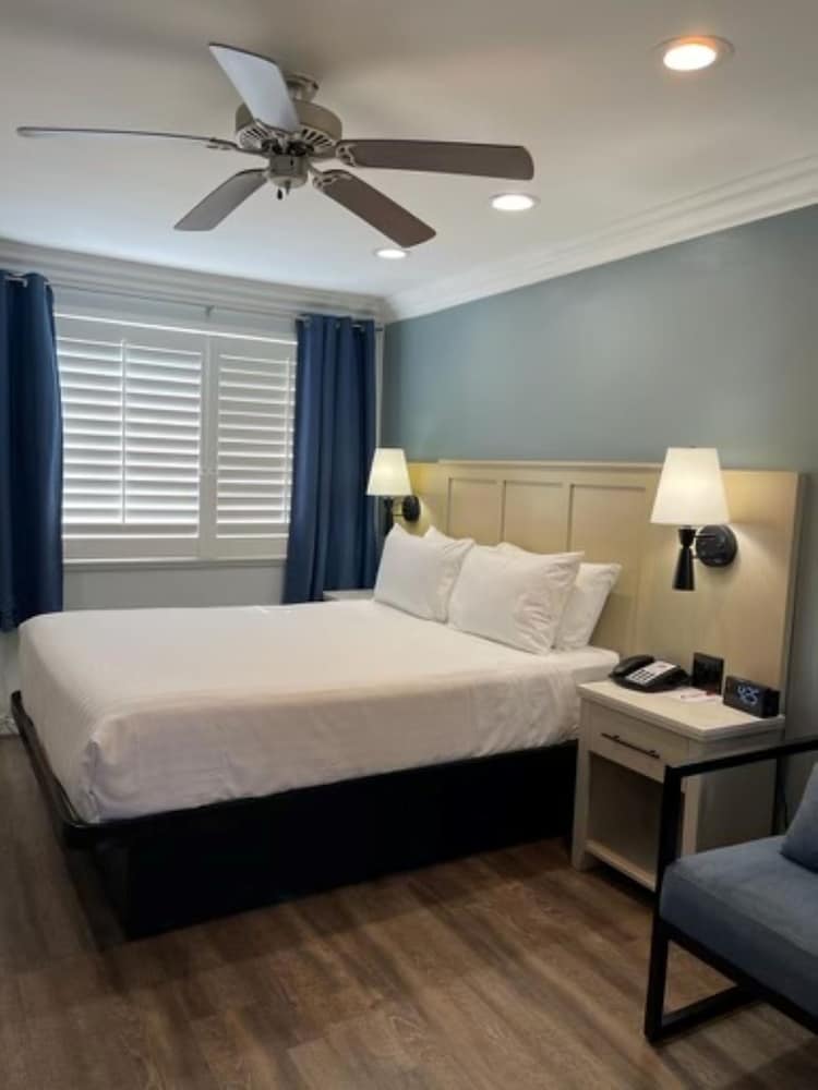 Room, 1 King Bed, Accessible, Non Smoking (Mobility/Hearing, Roll-In Shower) - Photo 2