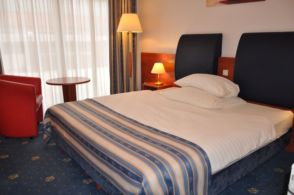 Double Room, 1 King Bed (Francuski)