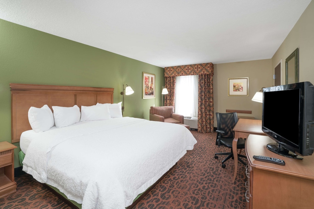 Suite, 1 King Bed, Non Smoking photo 1