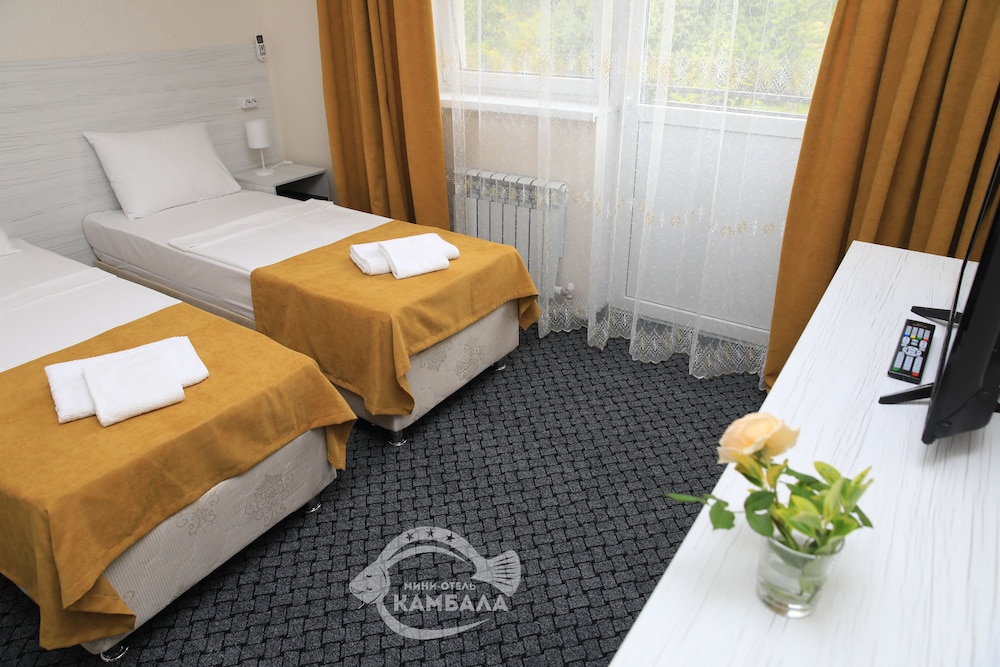 Superior Double or Twin Room photo 1