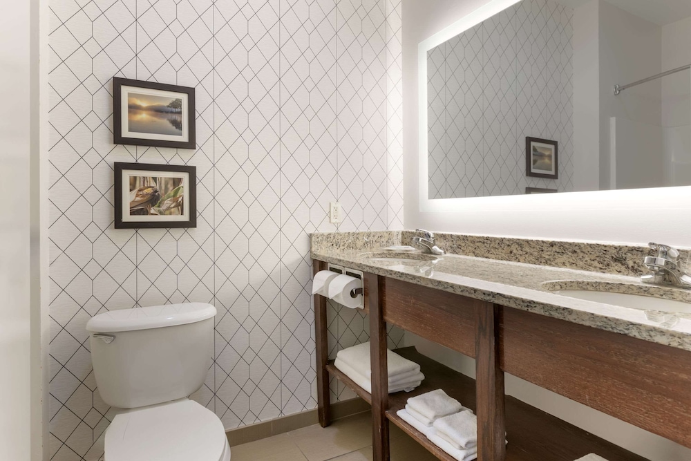 Suite, 1 King Bed with Sofa bed, Accessible, Non Smoking (Roll-In Shower) - Photo 7