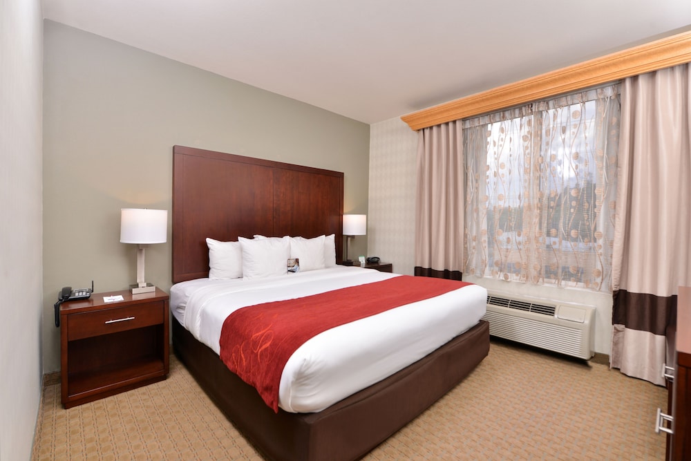 Suite, 1 King Bed with Sofa bed, Non Smoking - Photo 3