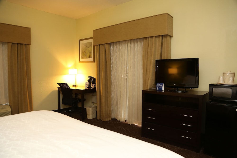 Suite, 1 Bedroom - Photo 2