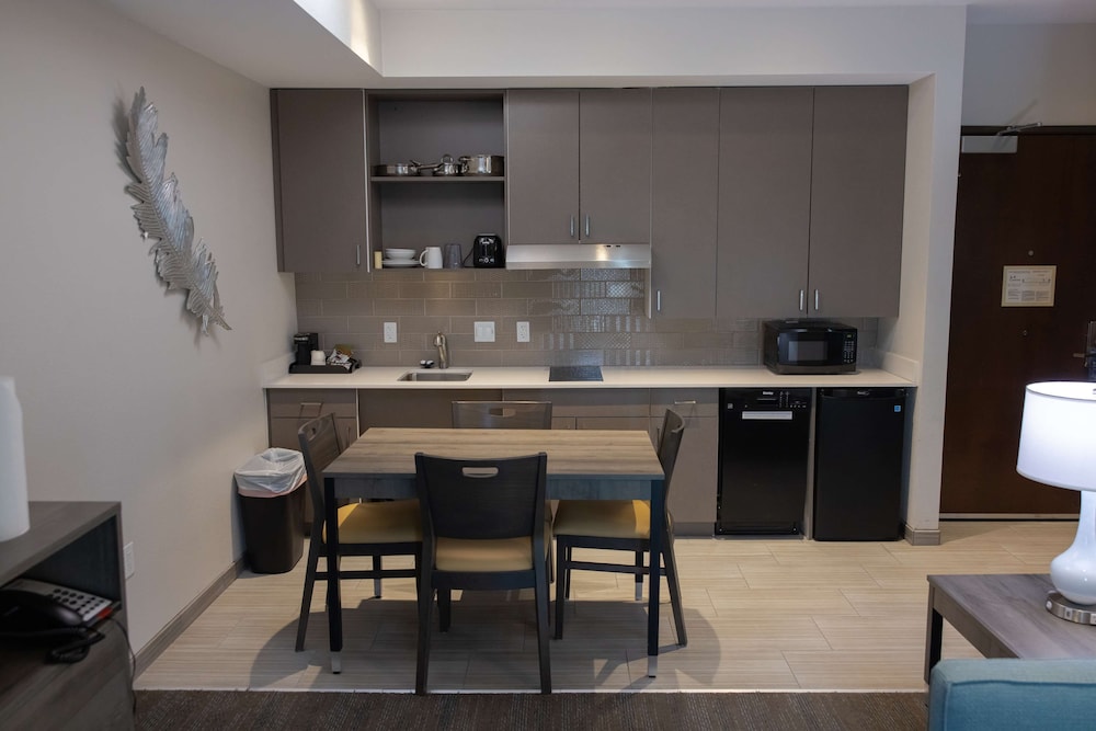 Suite, 1 King Bed, Accessible, Kitchenette (with Sofabed) - Photo 2