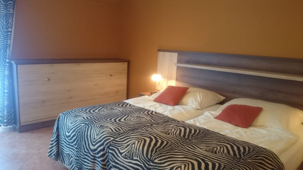 Standard Double Room photo 3
