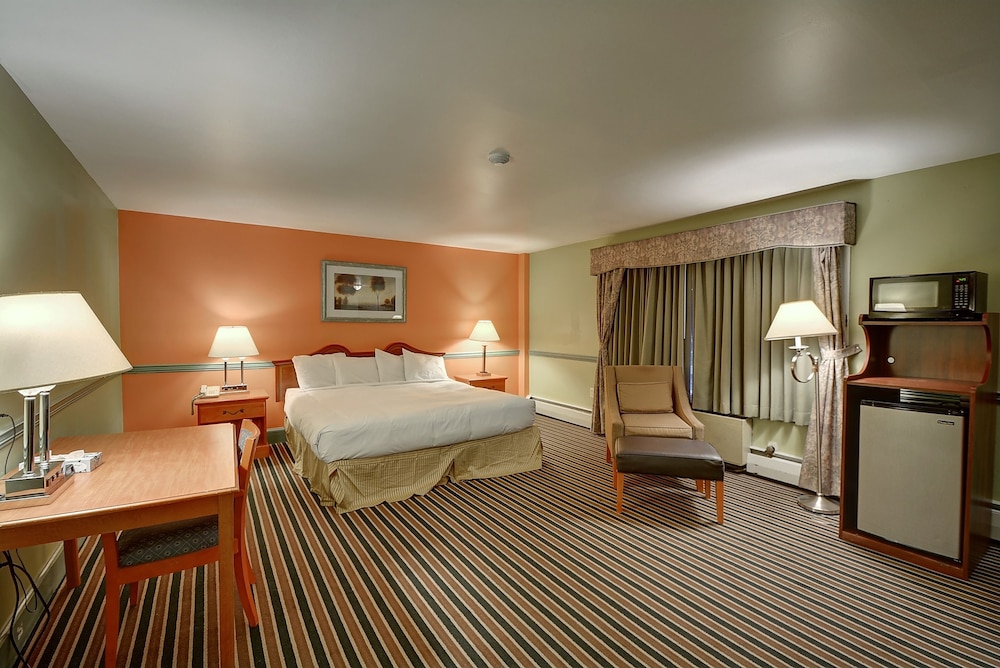 Deluxe Single Room, 1 King Bed - Photo 1