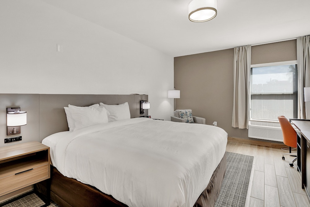 Standard Room, 1 King Bed, Non Smoking photo 2