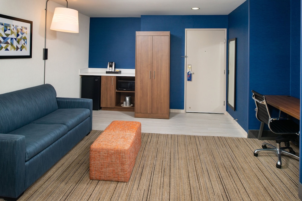 Suite, 1 King Bed, Accessible (Roll-In Shower)