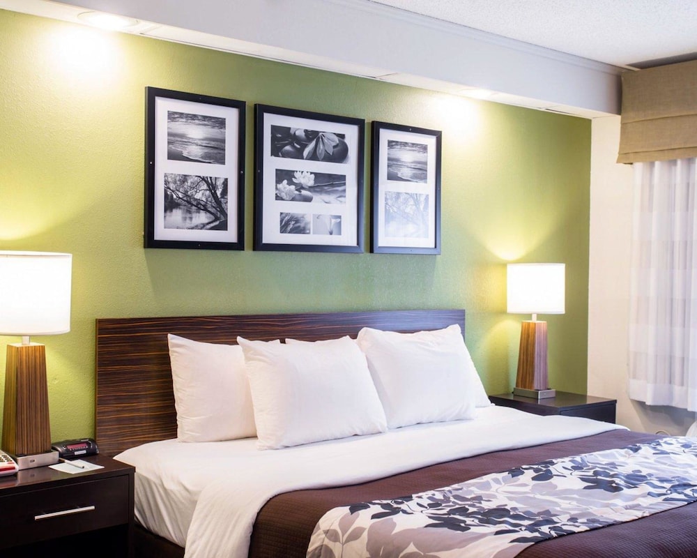 Standard Room, 1 King Bed, Non Smoking - Photo 5