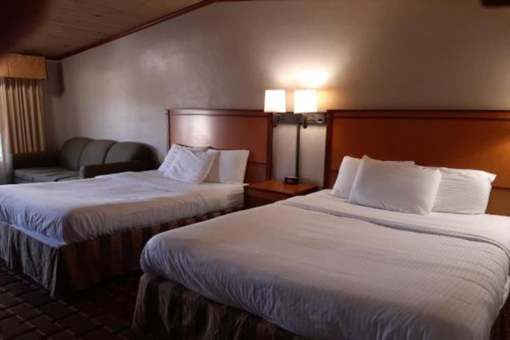 Room, Multiple Beds photo 3