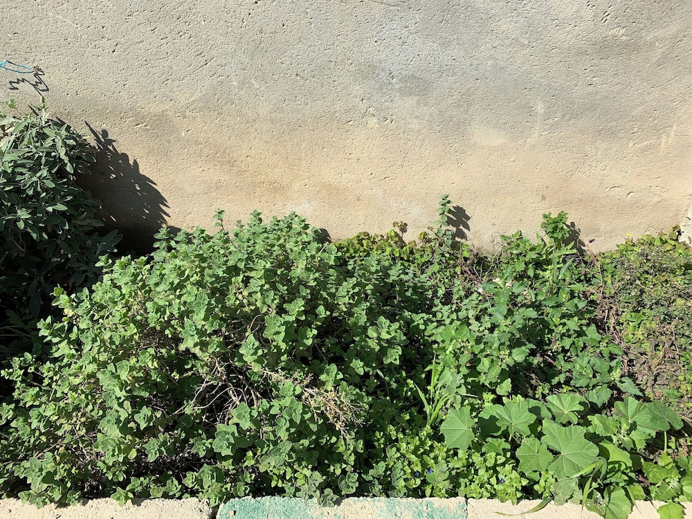 Family House - Photo 18