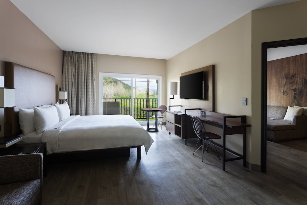 Suite, 1 Bedroom photo 2