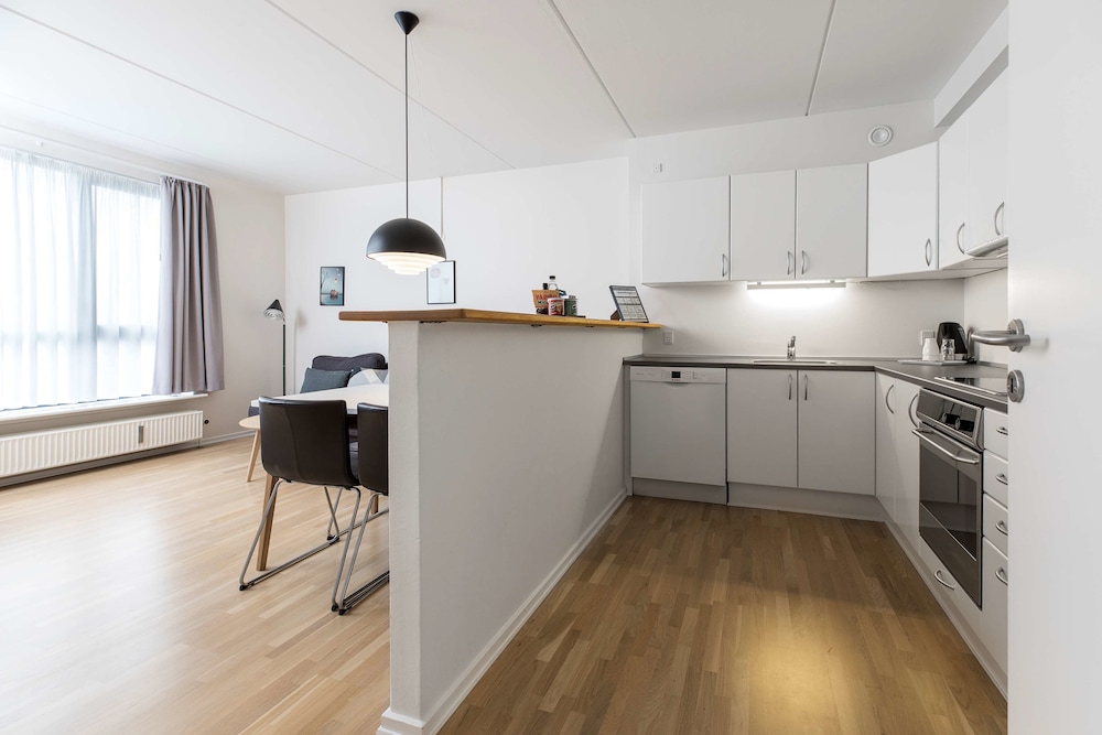 Standard Room, 1 King Bed, Non Smoking, Kitchen (with Sofabed) - Photo 11