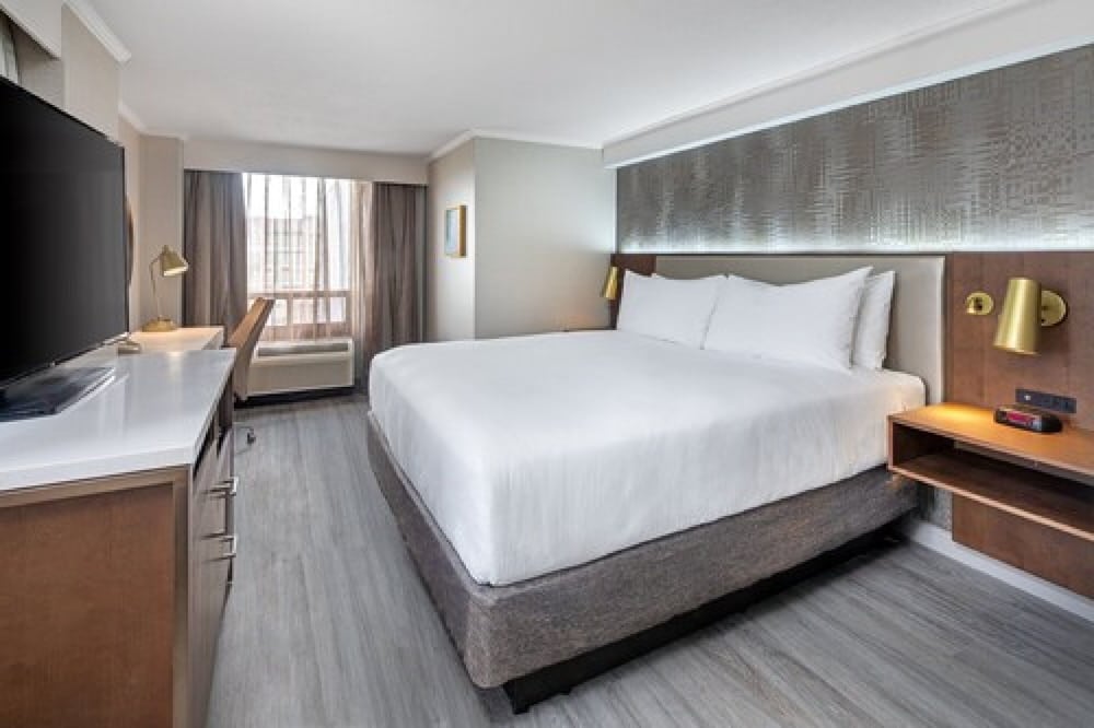 Standard Room, 1 King Bed (Airport Runway View) - Photo 4