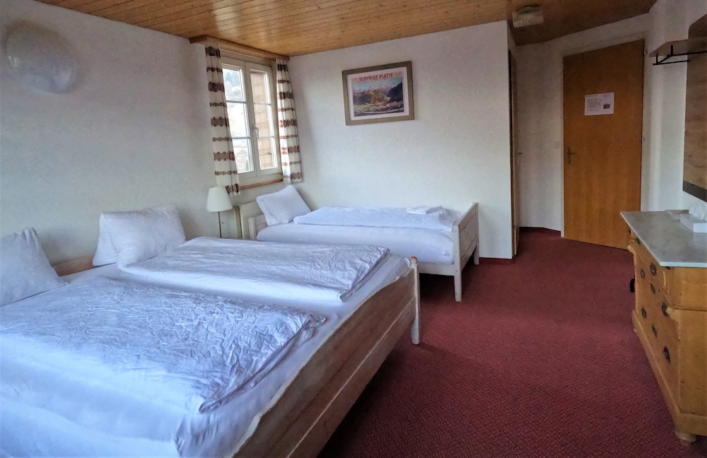 Classic Triple Room, Multiple Beds, Private Bathroom, Mountain View photo 3