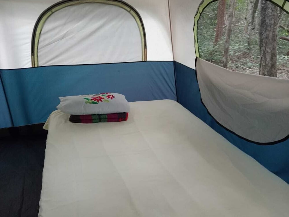 Tent, 2 Queen Beds photo 3