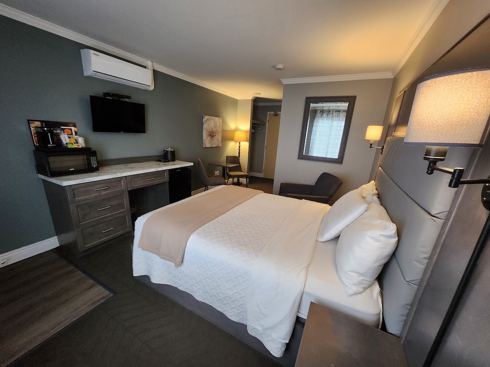Deluxe Single Room, 1 Queen Bed, Non Smoking photo 3