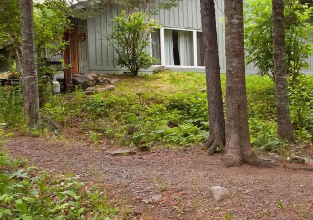 Classic Cabin (2 Bedroom) photo 2