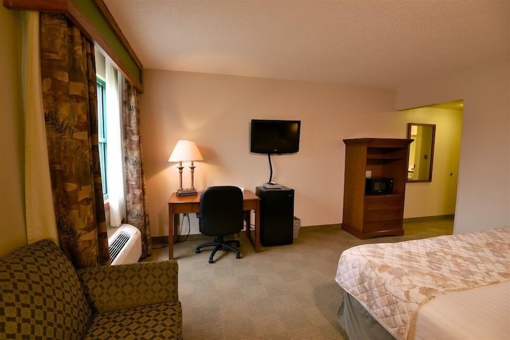Room, 1 King Bed photo 1