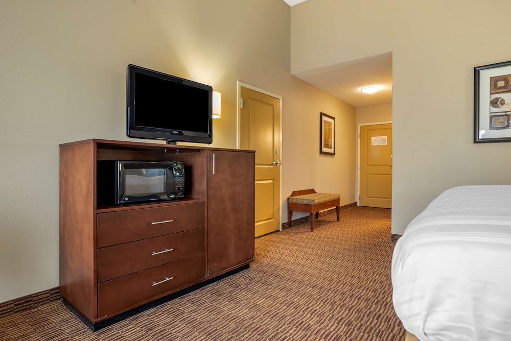 Standard Room, 1 King Bed, Non Smoking, Refrigerator & Microwave