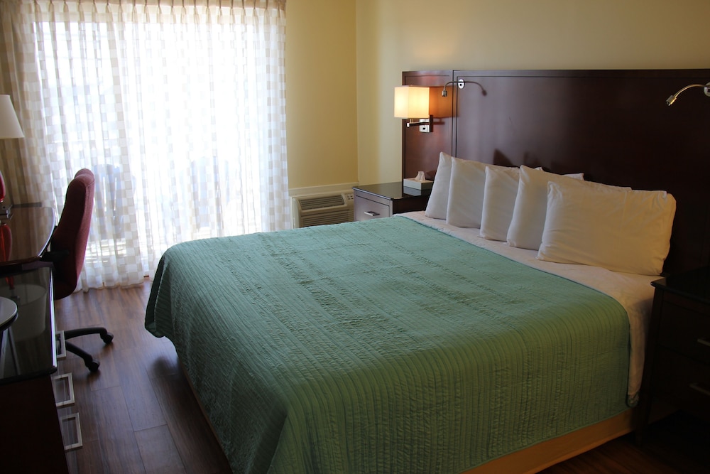 Standard Room, 1 King Bed photo 2