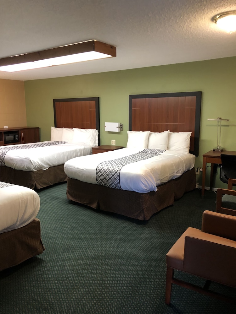 Standard Room, 3 Queen Beds, Non Smoking- No Pets Allowed