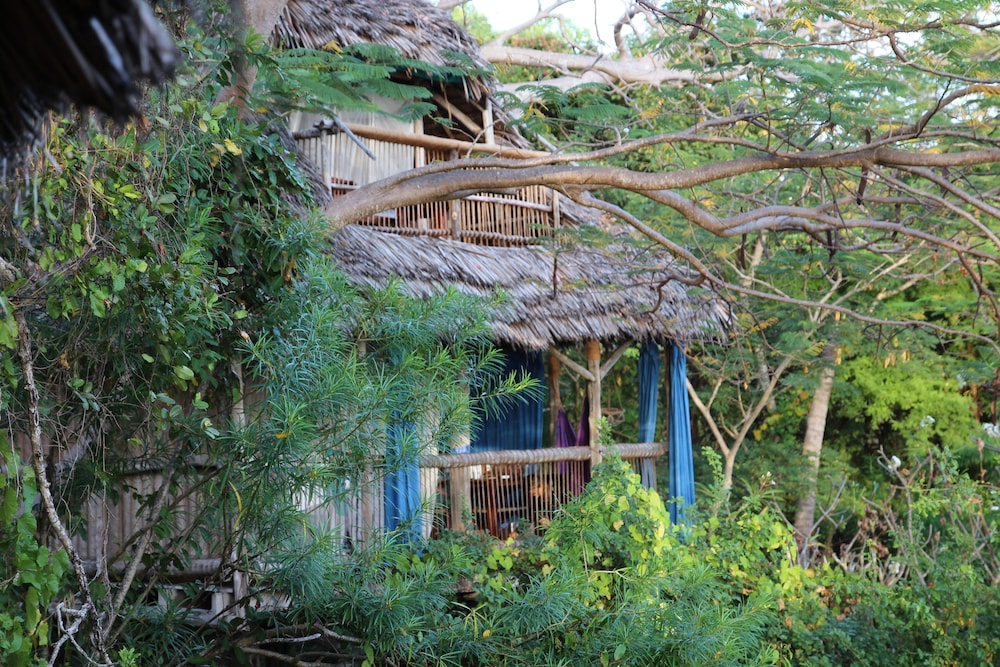 Family Tree House (Mbili) photo 1
