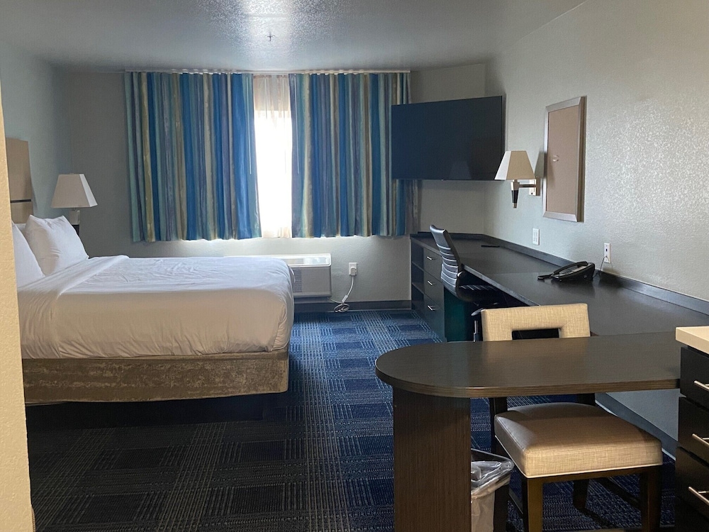 Basic Room, 1 King Bed, Non Smoking photo 1