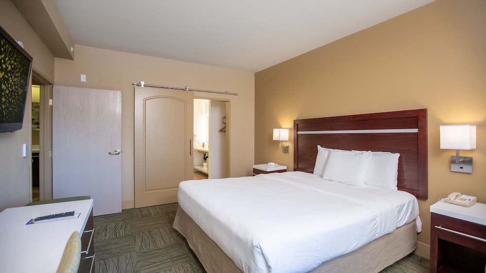 2 Room Suite - Photo 1